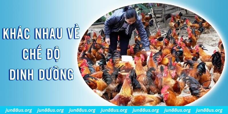 mcw18 xổ số thứ sáu hàng tuần