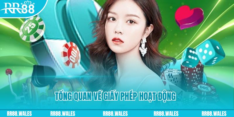 mcw18 kết quả xổ số kiến thiết miền bắc