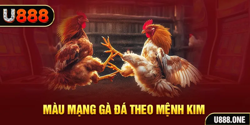 mcw18 gà chọi tiêu phong