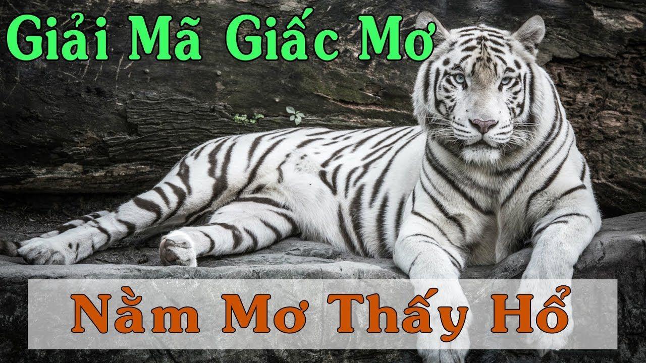 mcw18 xổ số miền trung