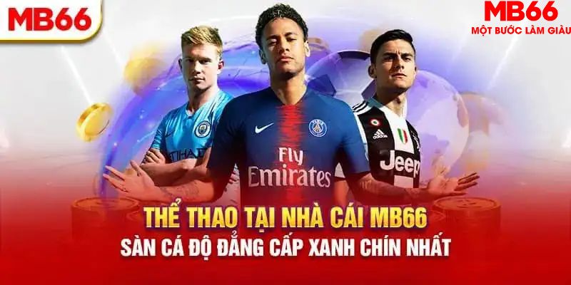 mcw18 HB Điện Tử
