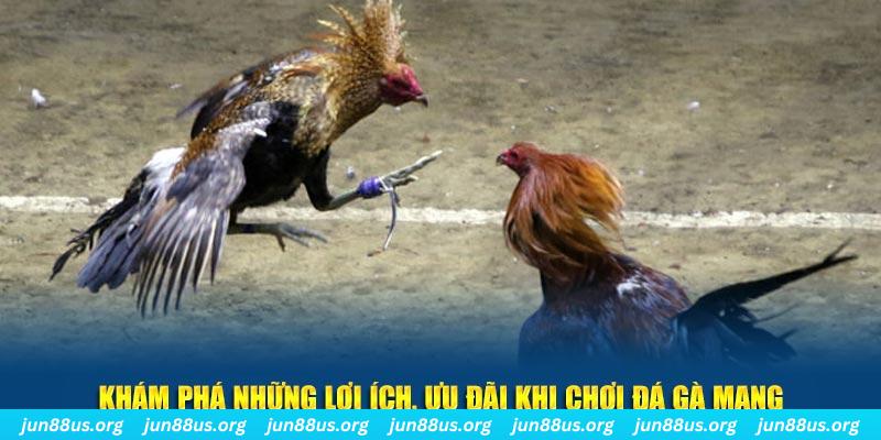 mcw18 Tài Xỉu 2
