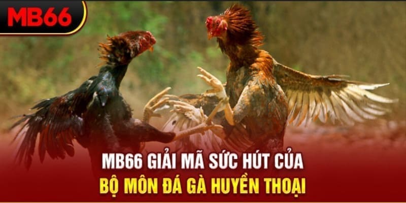 mcw18 long bảo trong baccarat là gì