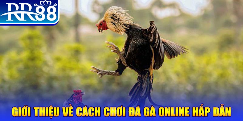 mcw18 nổ hũ 2 mặt là gì