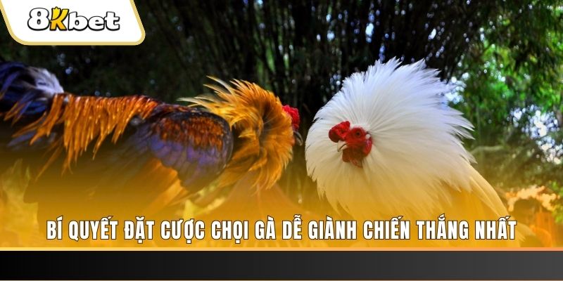 mcw18 may club nổ hũ