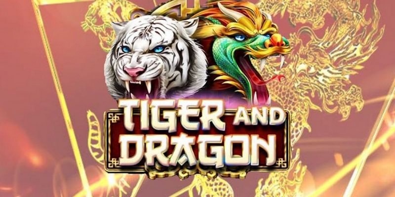 mcw18 cá cược tiếng anh là gì