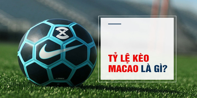 mcw18 Trăm Knorr
