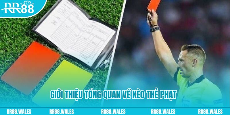 mcw18 đá gà trực tiếp c1